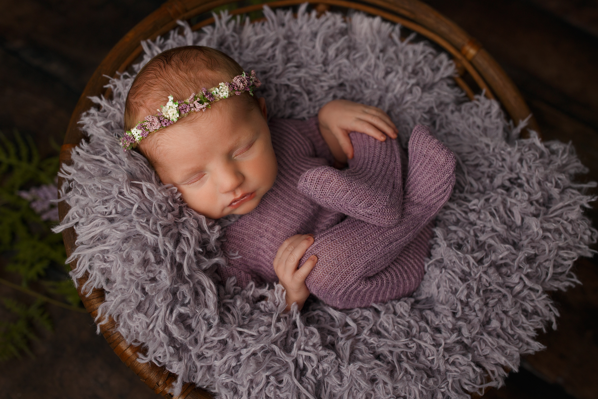 A baby girl in purple snuggled up in fur.